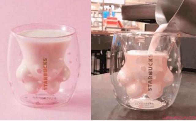 陸星巴克推「貓爪杯」　強國人衝店搶購大打出手