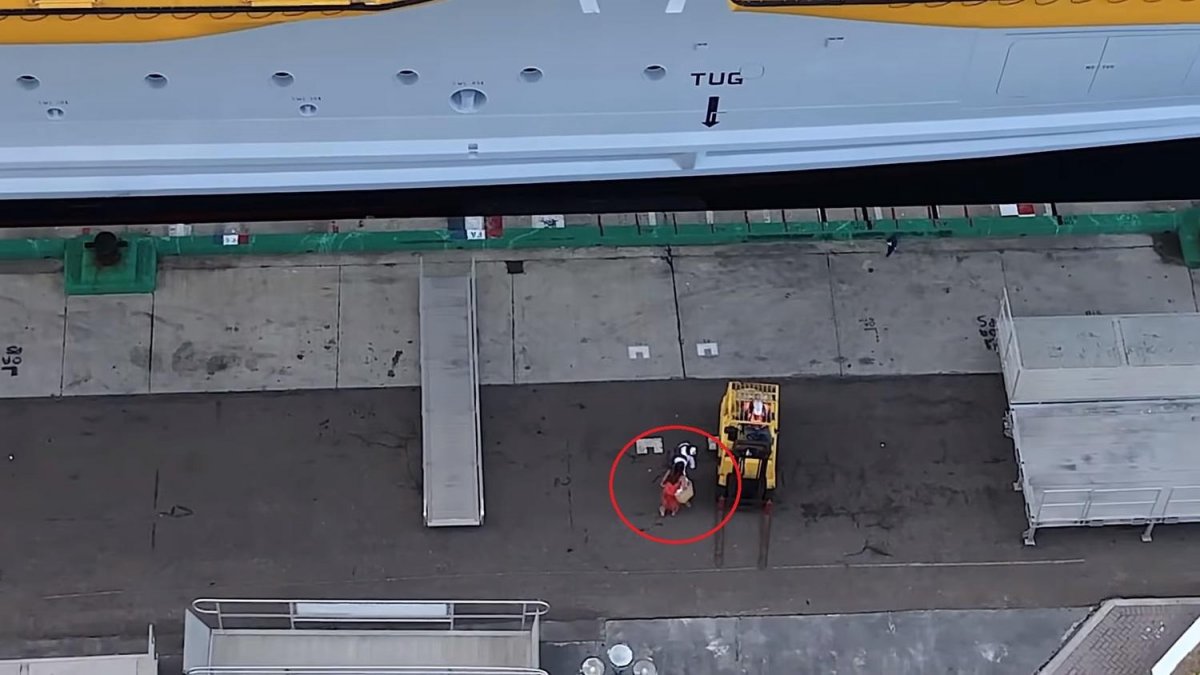 碼頭姑娘搭郵輪遲到 「巴士式招手」讓船長秒放生