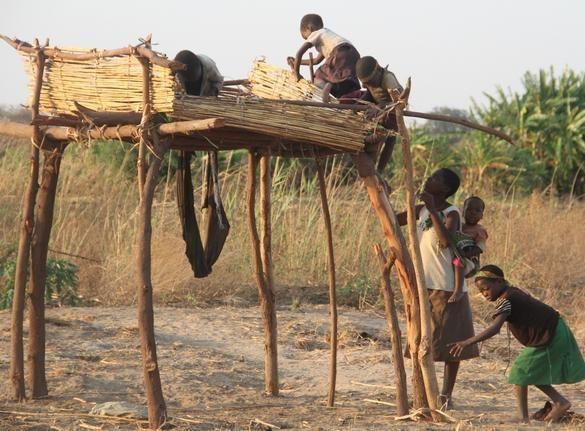 天生只有兩個腳趾!非洲「龍蝦族」鉗子腳掌拿可樂超方便…至今仍在尋找同類(6P+影)