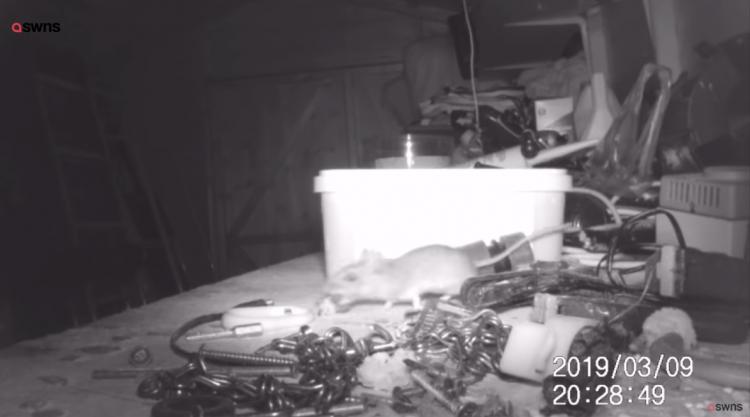 一覺醒來「東西莫名全收整齊」重複到他崩潰！ 偷架監視器才發現超可愛真相(影)