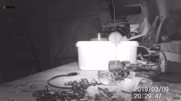 一覺醒來「東西莫名全收整齊」重複到他崩潰！ 偷架監視器才發現超可愛真相(影)