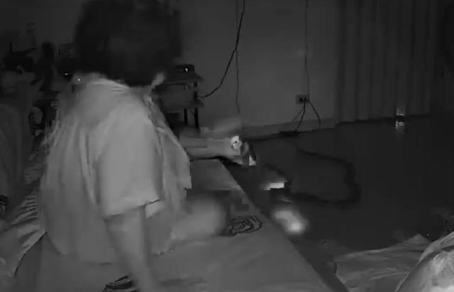 嚇！老婦睡夢中痛醒　手電筒一照巨蟒伏床邊