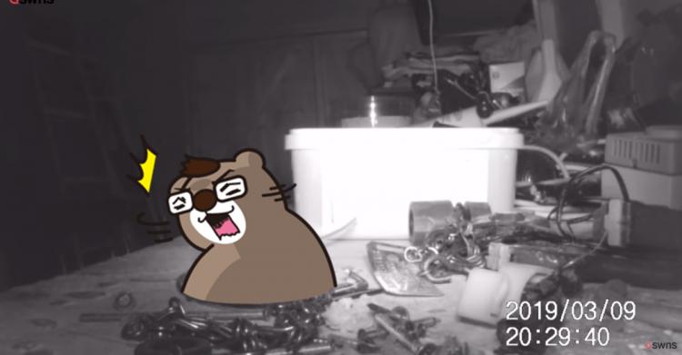 一覺醒來「東西莫名全收整齊」重複到他崩潰！ 偷架監視器才發現超可愛真相(影)