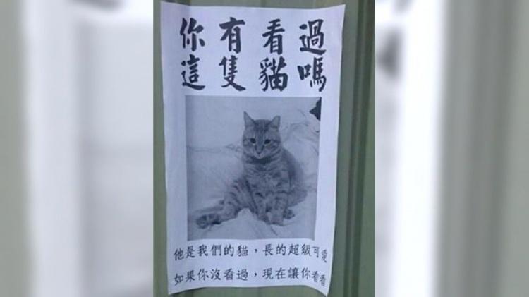 鼻血先噴！小隻馬曬毛孩照「深溝美腿乍現」邪惡視角太犯規...網大歪樓：哪裡有狗？