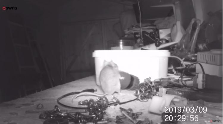 一覺醒來「東西莫名全收整齊」重複到他崩潰！ 偷架監視器才發現超可愛真相(影)