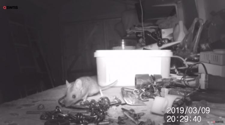 一覺醒來「東西莫名全收整齊」重複到他崩潰！ 偷架監視器才發現超可愛真相(影)