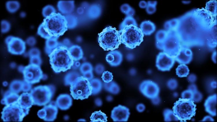 刺客教條是真的？科學家發現: 「細胞會記錄自身成長全部歷史」...這些記憶還能被重啟！