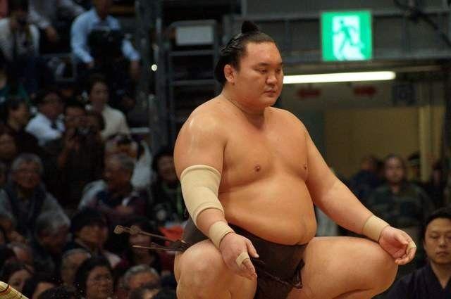 X你娘怕爆！相撲選手「聽到OO就怕」大展鐵漢柔情！超痛苦表情集：怎麼莫名療癒XD