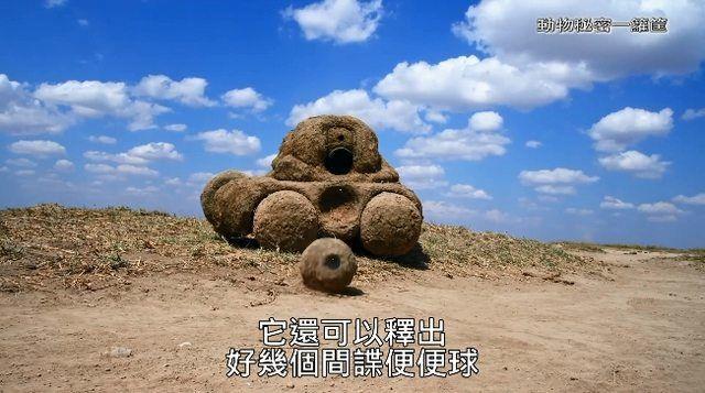 繼《我們與惡》之後! 公視「間諜系列」再掀高潮..網推爆: ㄎㄧㄤ到炸! 到底嗑了多少.. (影