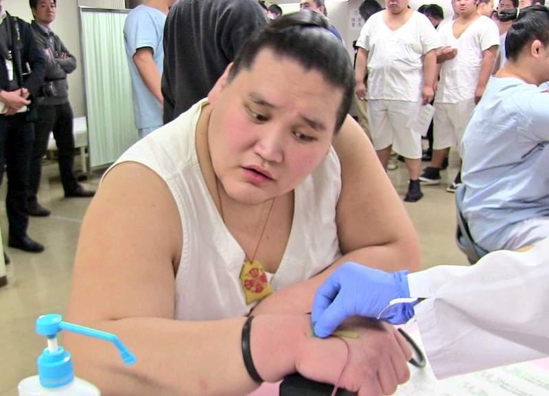 X你娘怕爆！相撲選手「聽到OO就怕」大展鐵漢柔情！超痛苦表情集：怎麼莫名療癒XD