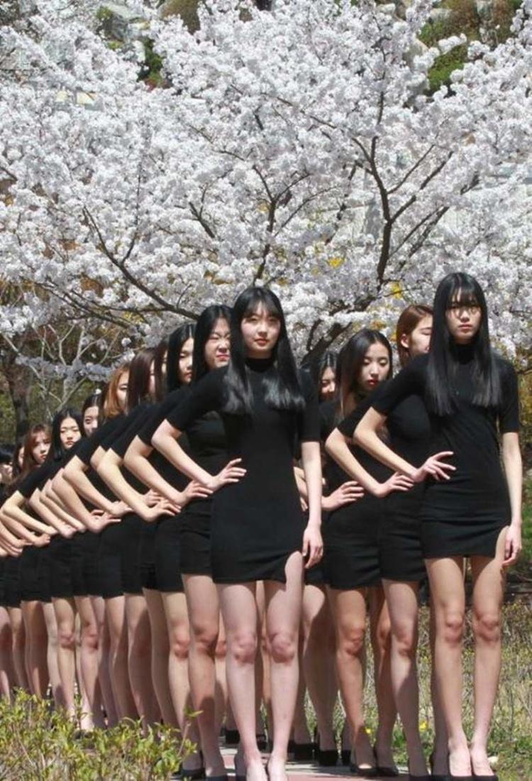 (影+圖) 腿控的慶典...韓國長腿櫻花季～錯過再等一年的絕美遊行隊伍！