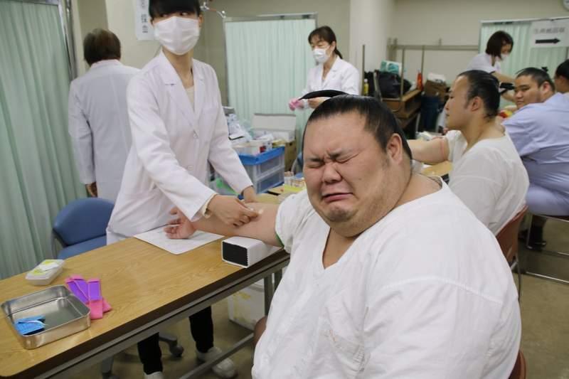 X你娘怕爆！相撲選手「聽到OO就怕」大展鐵漢柔情！超痛苦表情集：怎麼莫名療癒XD