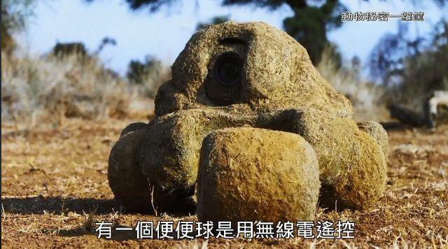 繼《我們與惡》之後! 公視「間諜系列」再掀高潮..網推爆: ㄎㄧㄤ到炸! 到底嗑了多少.. (影