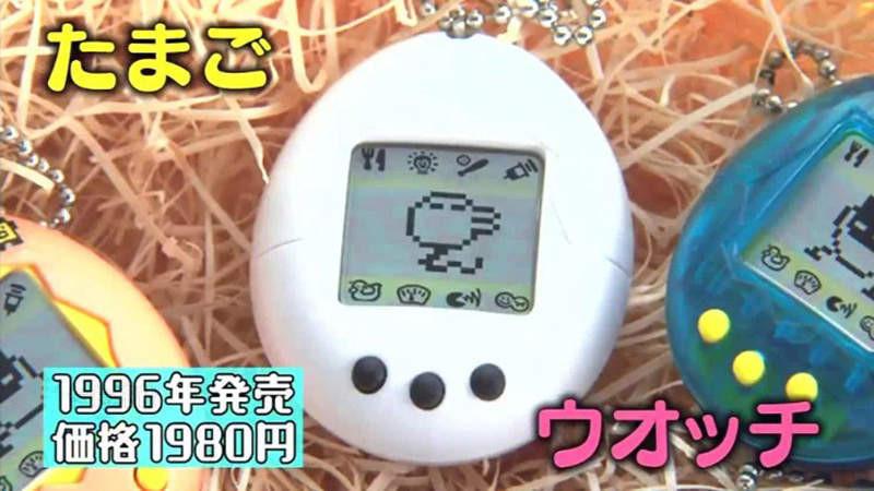收藏被嫌浪費錢!日本爸爸「怒上節目鑑定」估價結果看傻了!網驚:有危險快逃啊!