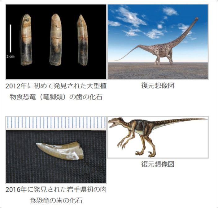 高中生校外教學… 竟挖到「恐龍化石」!專家一研究驚呆:是9000萬年前新物種