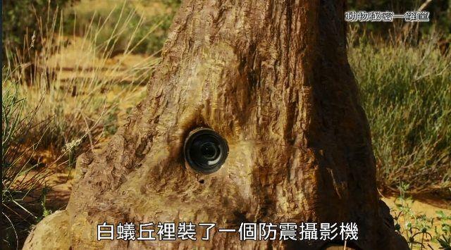 繼《我們與惡》之後! 公視「間諜系列」再掀高潮..網推爆: ㄎㄧㄤ到炸! 到底嗑了多少.. (影