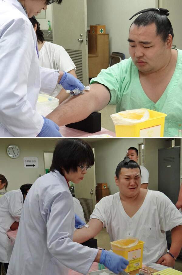 X你娘怕爆！相撲選手「聽到OO就怕」大展鐵漢柔情！超痛苦表情集：怎麼莫名療癒XD