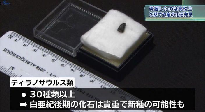高中生校外教學… 竟挖到「恐龍化石」!專家一研究驚呆:是9000萬年前新物種