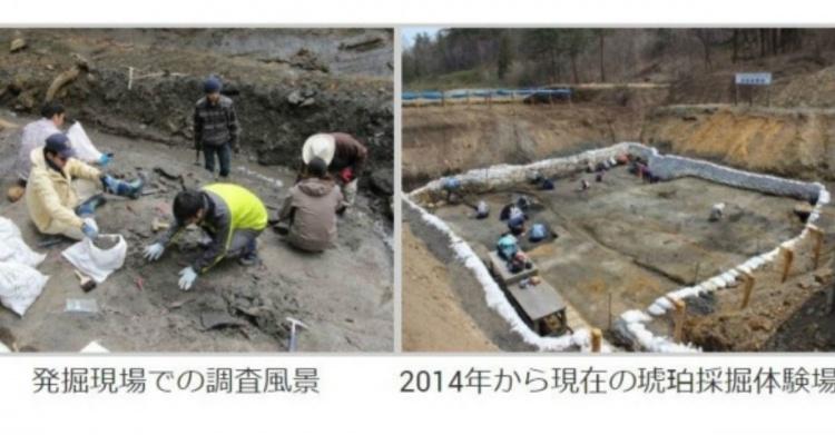 高中生校外教學… 竟挖到「恐龍化石」!專家一研究驚呆:是9000萬年前新物種