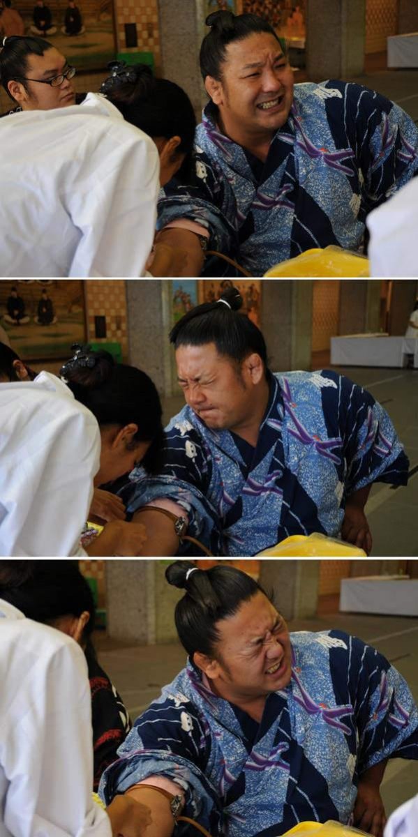 X你娘怕爆！相撲選手「聽到OO就怕」大展鐵漢柔情！超痛苦表情集：怎麼莫名療癒XD
