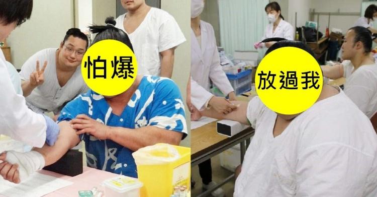 X你娘怕爆！相撲選手「聽到OO就怕」大展鐵漢柔情！超痛苦表情集：怎麼莫名療癒XD
