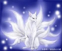 神話傳說現身？男子爬山竟撿到「一隻九尾狐」交專家鑑定後…大吃驚