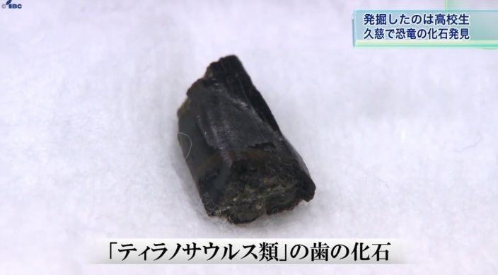 高中生校外教學… 竟挖到「恐龍化石」!專家一研究驚呆:是9000萬年前新物種