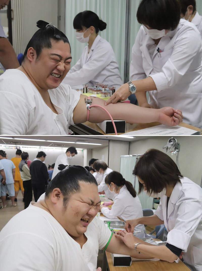 X你娘怕爆！相撲選手「聽到OO就怕」大展鐵漢柔情！超痛苦表情集：怎麼莫名療癒XD