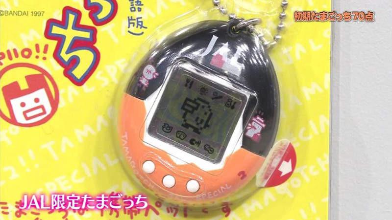 收藏被嫌浪費錢!日本爸爸「怒上節目鑑定」估價結果看傻了!網驚:有危險快逃啊!
