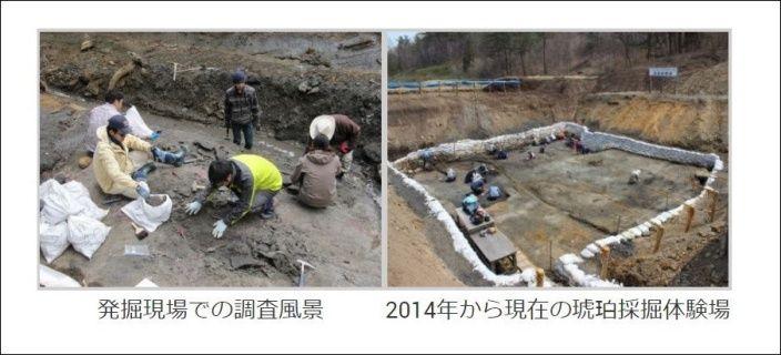 高中生校外教學… 竟挖到「恐龍化石」!專家一研究驚呆:是9000萬年前新物種