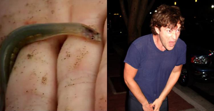 當地男人怕爆！這種 "吻仔魚" 最愛「鑽爆男生馬眼」吃海綿體: 千萬別在亞馬遜河做這動作