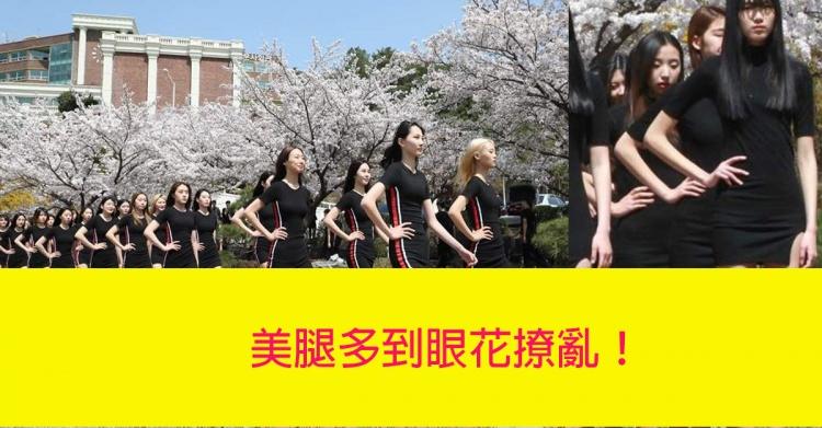 (影+圖) 腿控的慶典...韓國長腿櫻花季～錯過再等一年的絕美遊行隊伍！