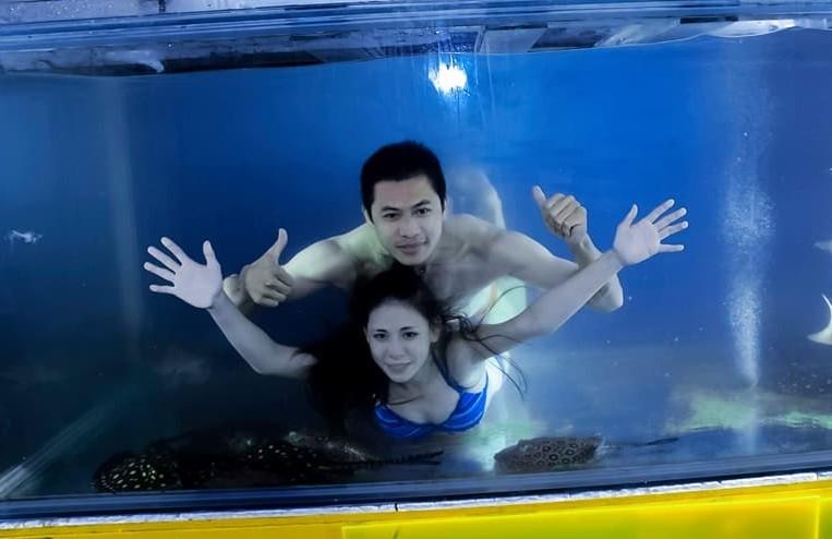 全家跳大魚缸消暑！他帶「比基尼辣妻」下水狂炸　萬人驚訝讚爆