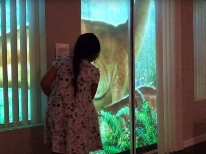 有這種爸爸也太好！為逗前世情人開心…後院重現侏儸紀公園！