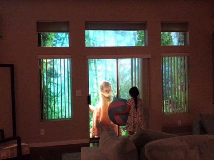 有這種爸爸也太好！為逗前世情人開心…後院重現侏儸紀公園！