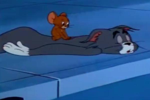 為什麼傑利鼠離不開湯姆貓？　三段故事告訴你「這樣的朋友最珍貴」