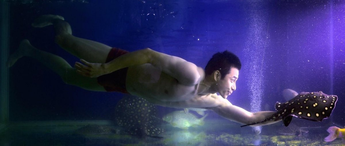 全家跳大魚缸消暑！他帶「比基尼辣妻」下水狂炸　萬人驚訝讚爆