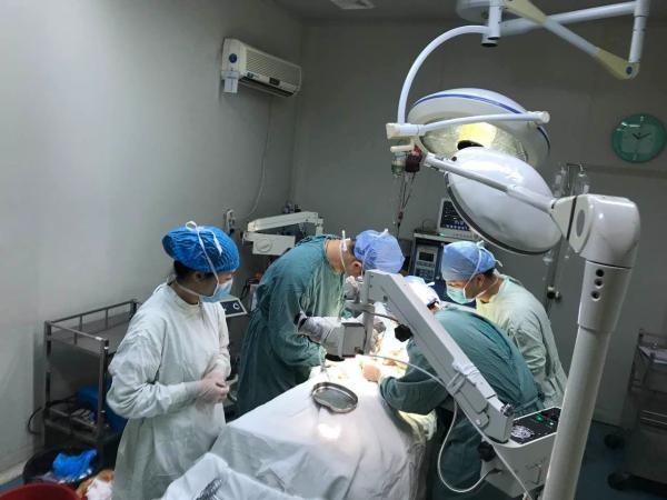下面硬6個月疑罹癌切除「僅剩4.5cm」　男醒來確診僅膿瘍崩潰求償1500萬