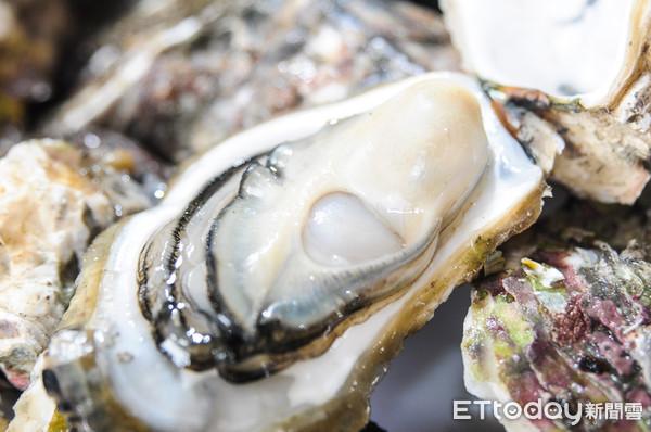 42年來首見！兒撿到1.3kg「巨無霸牡蠣」　他一看驚：活了至少30歲