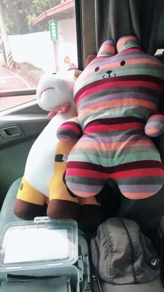 真有老司機 他出賣副駕「側面好兇」！又正又神美腿 反觀網狂嘆自己…：羨慕哭！