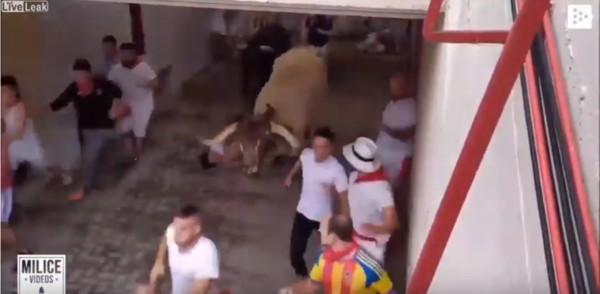 慎入！男在奔牛節慘遭「眾牛輾壓」　旁人無視繼續踩著他跑