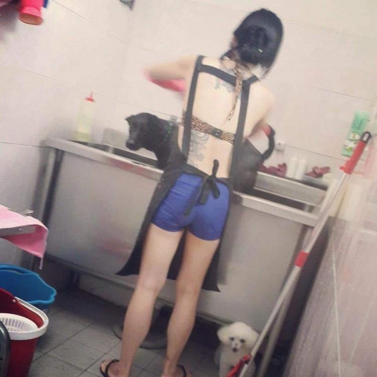冷氣壞了怎麼上班？美容師「圍裙下只有兩條...」狗狗視角大好！求正面：單身狗洗嗎？