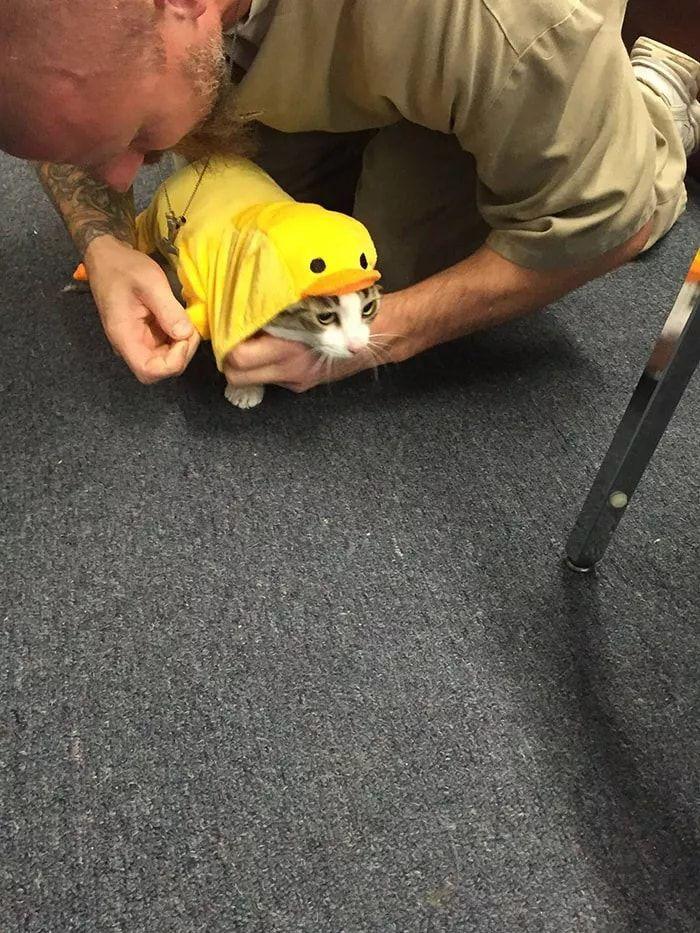 當喵星人進入監獄...「貓咪每天和最兇惡的犯人關在一起」囚犯竟然發生這樣的改變:感人