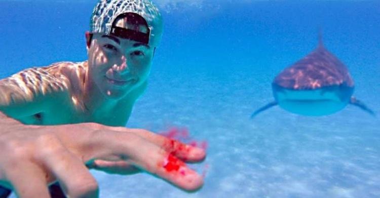 用生命做實驗！「被鯊魚聞到血」真的必死嗎？youtuber不要命實測...結果太震驚：怕爆！