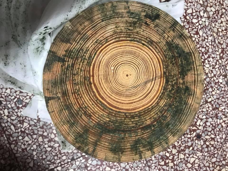 網購千元木砧板...開箱驚見「深綠霉菇培養皿」噁爆　誇張後續萬人譙翻