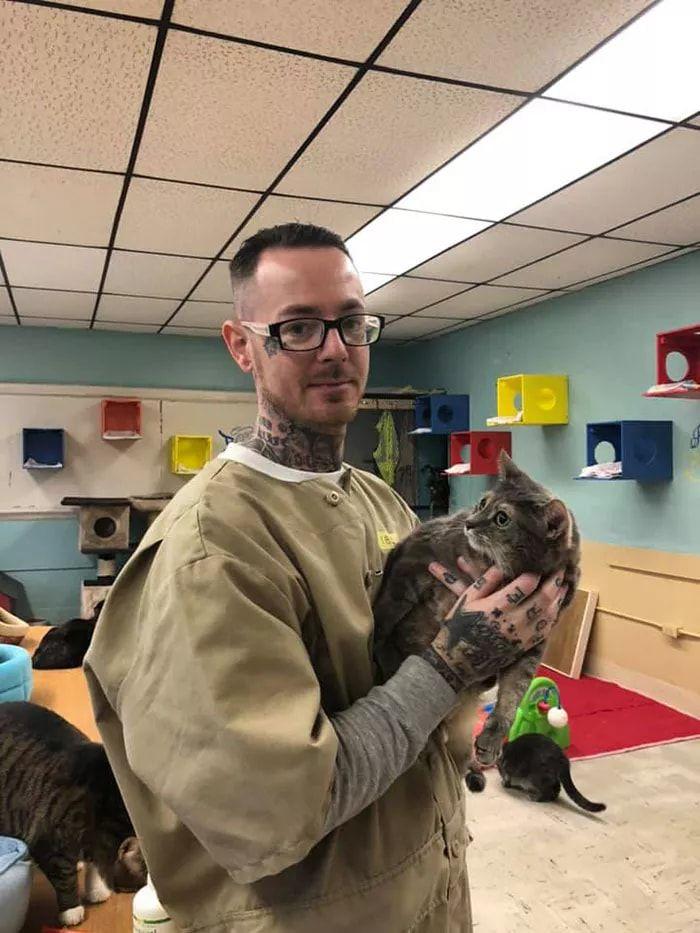 當喵星人進入監獄...「貓咪每天和最兇惡的犯人關在一起」囚犯竟然發生這樣的改變:感人