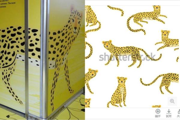 美女設計師「買石虎圖」！淚灑直播關臉書…俄羅斯原作者出面回應嗆翻