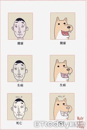 毛毛臉到死亡長一樣!1張圖揭「可怕熱傷害」:忍耐原因都是你