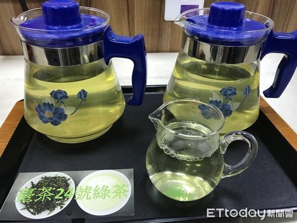冰河時期的遺產 「台茶24號」復育成功!喝起來有菇蕈、杏仁、咖啡味