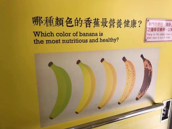 美女設計師「買石虎圖」！淚灑直播關臉書…俄羅斯原作者出面回應嗆翻